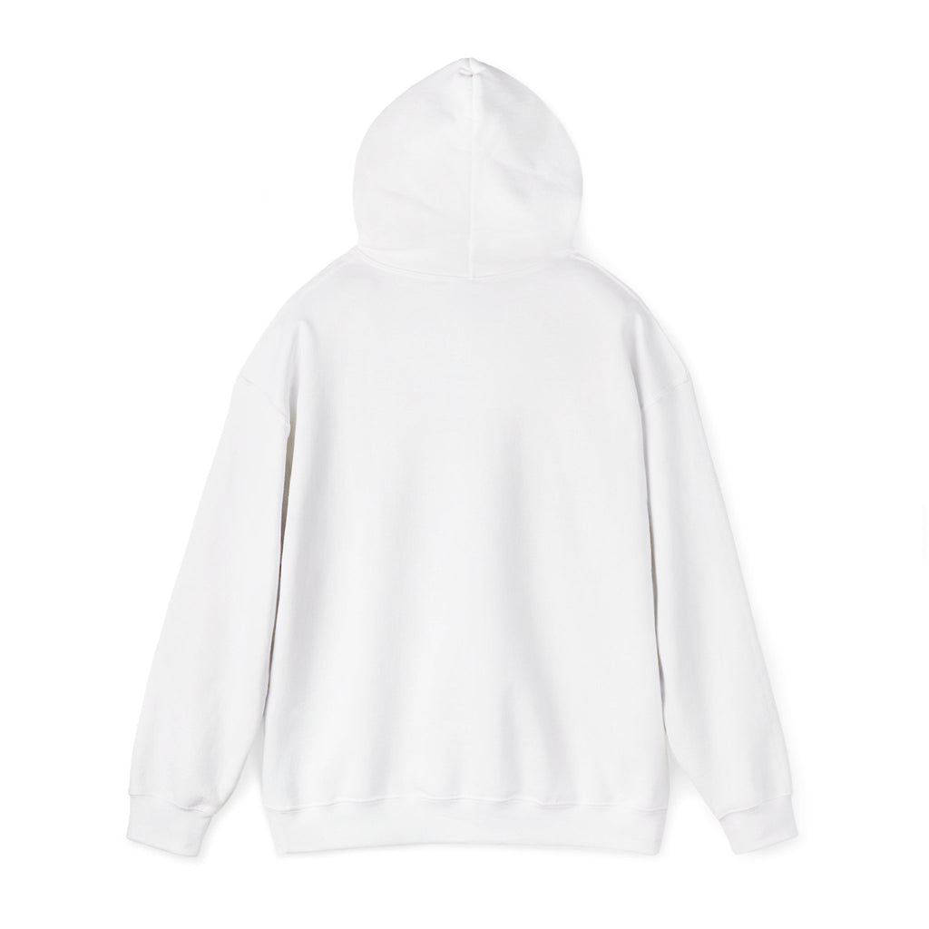 My days in the zone hoodie | Retro Sunset Camper Graphic Hoodie