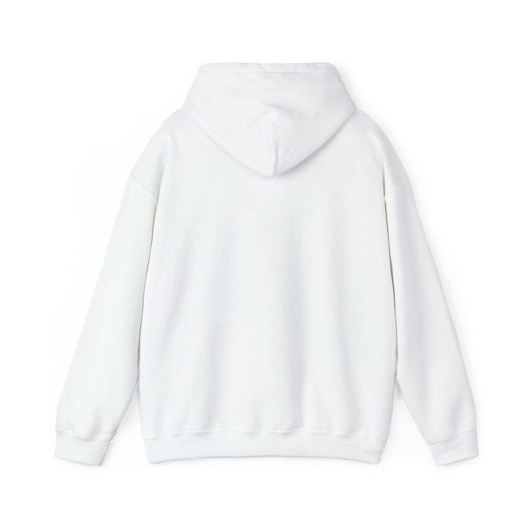 My days in the zone hoodie | Retro Sunset Camper Graphic Hoodie