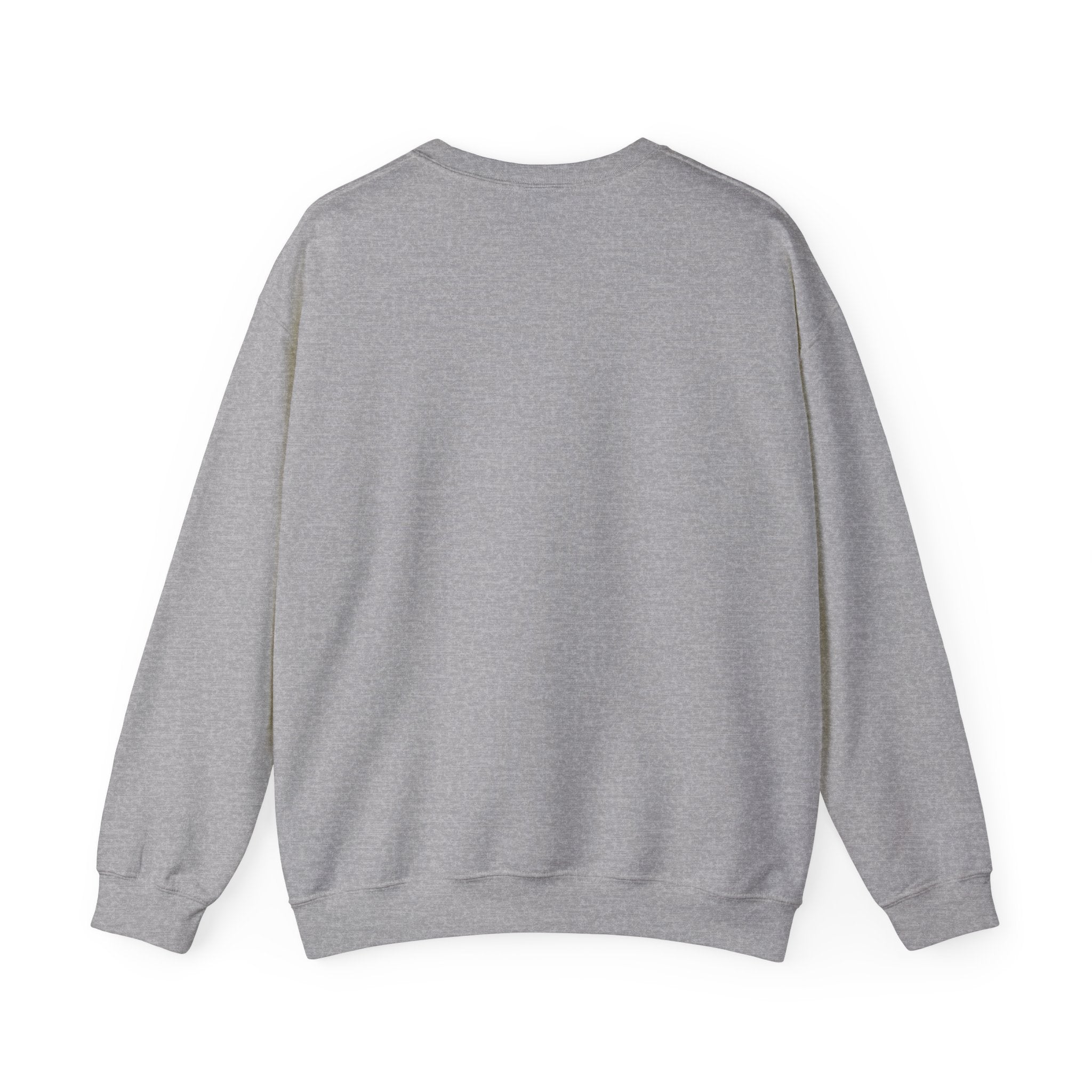 Minimal Anchor Crest sweatshirt | nautical stripe, coastal summer graphic